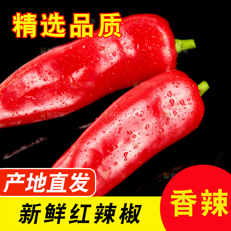 黑底上放着红菜椒
