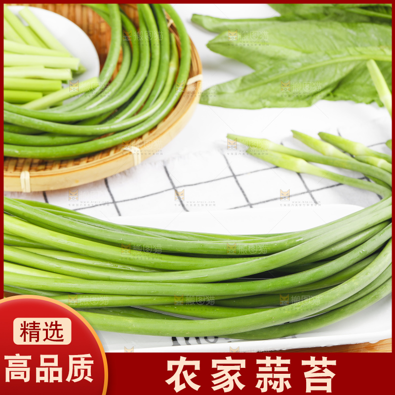 格子底上摆放着蒜豪
