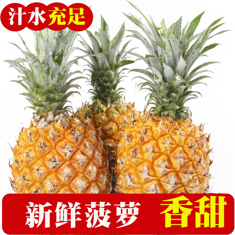 白底上的徐闻菠萝