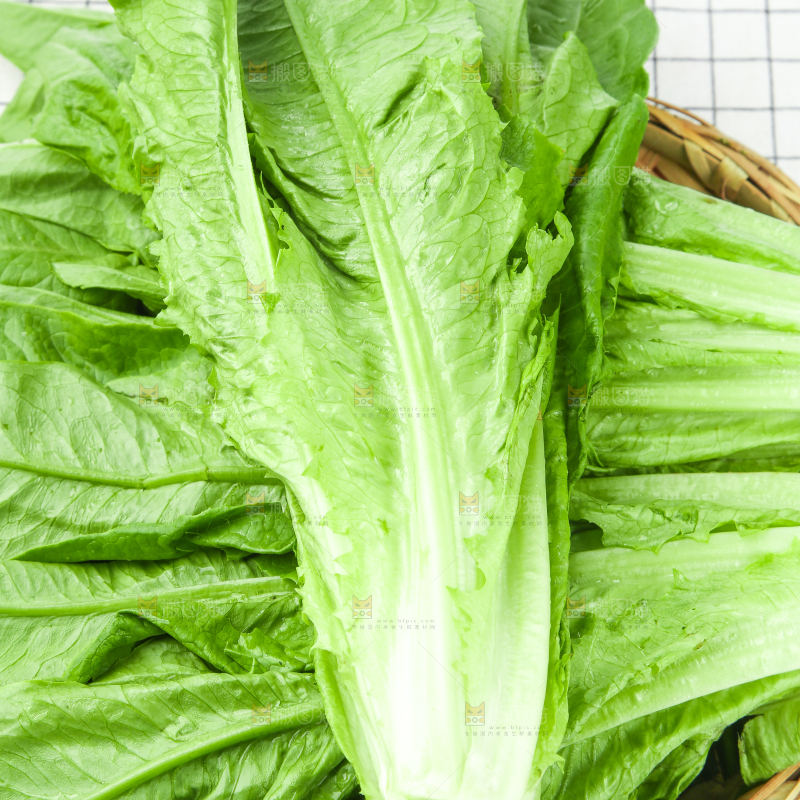格子底上放着油麦菜