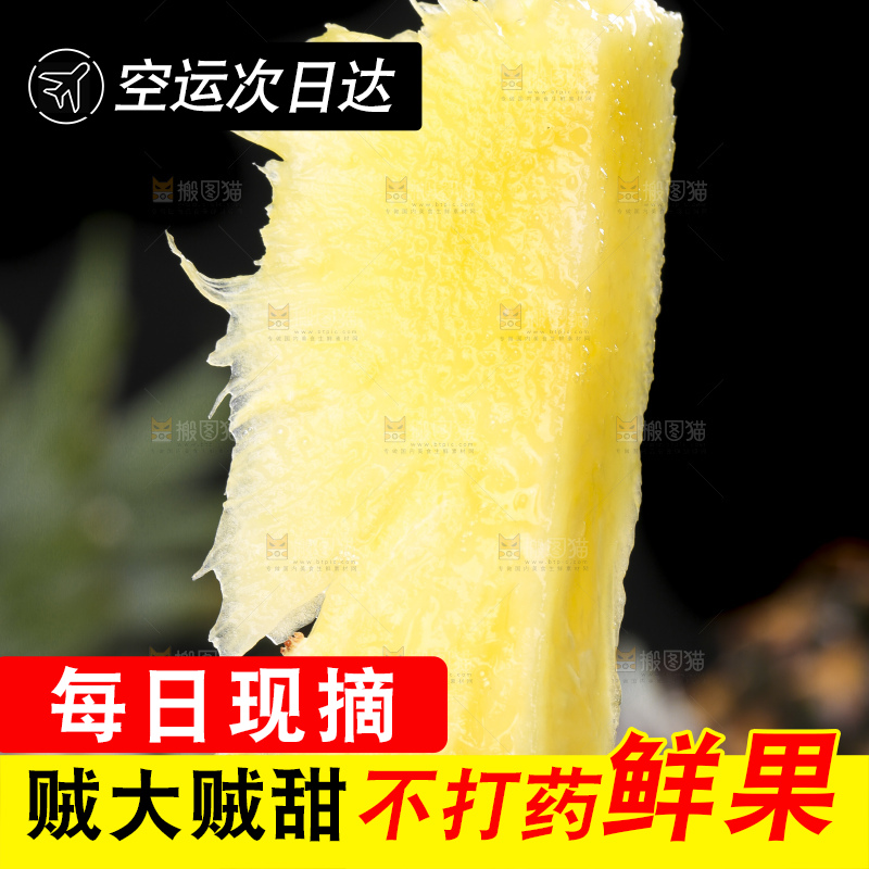 手拿海南金钻凤梨果肉