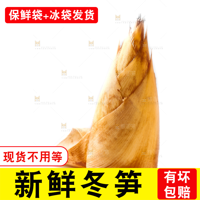 白底上摆放着冬笋
