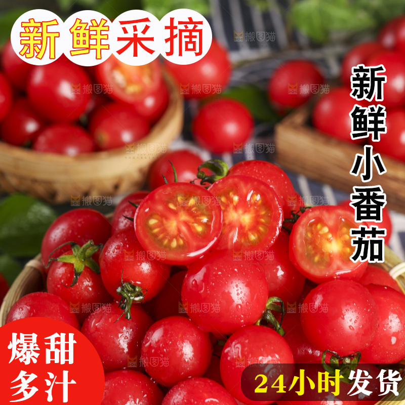 木底上放着一筐新鲜小番茄