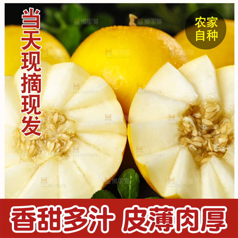 黑底上放着切开的陕西黄河蜜瓜