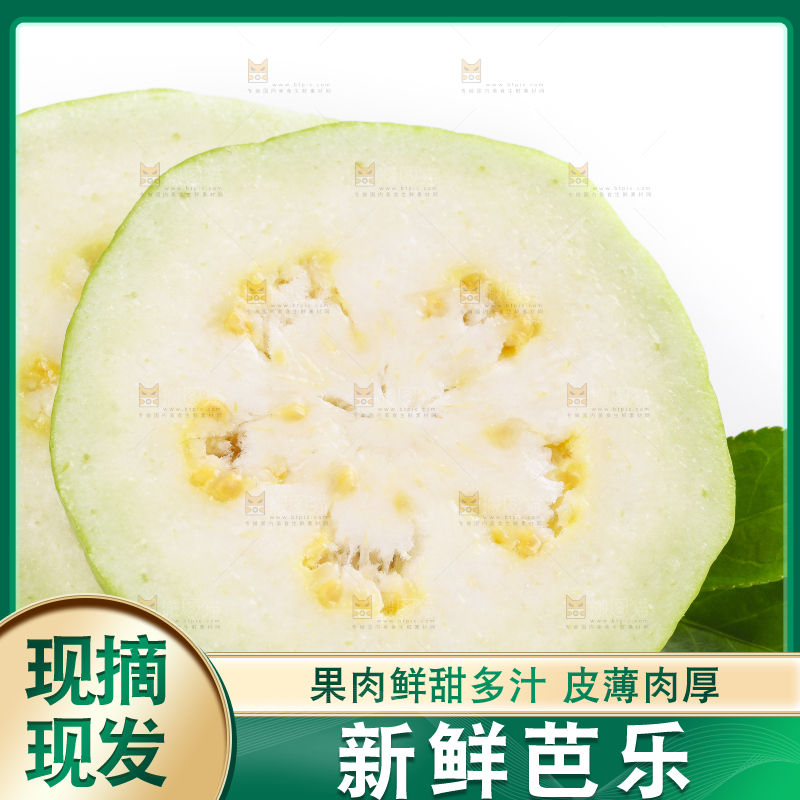 白底上放着白心番石榴