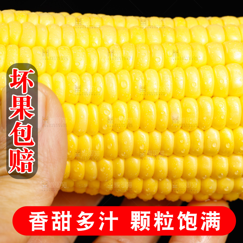 手里拿着甜玉米