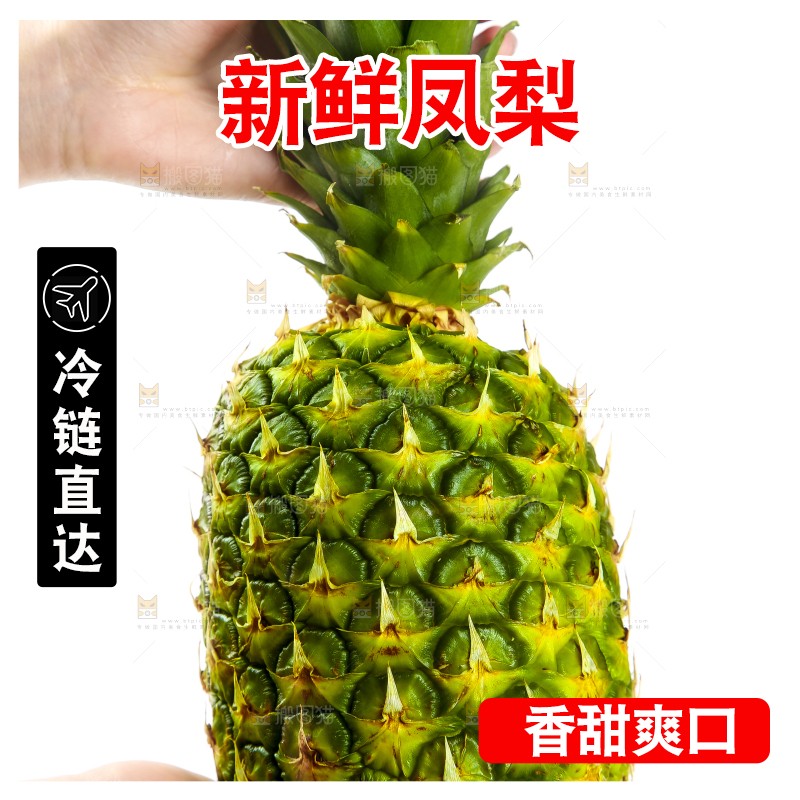 手里拿着海南金钻凤梨
