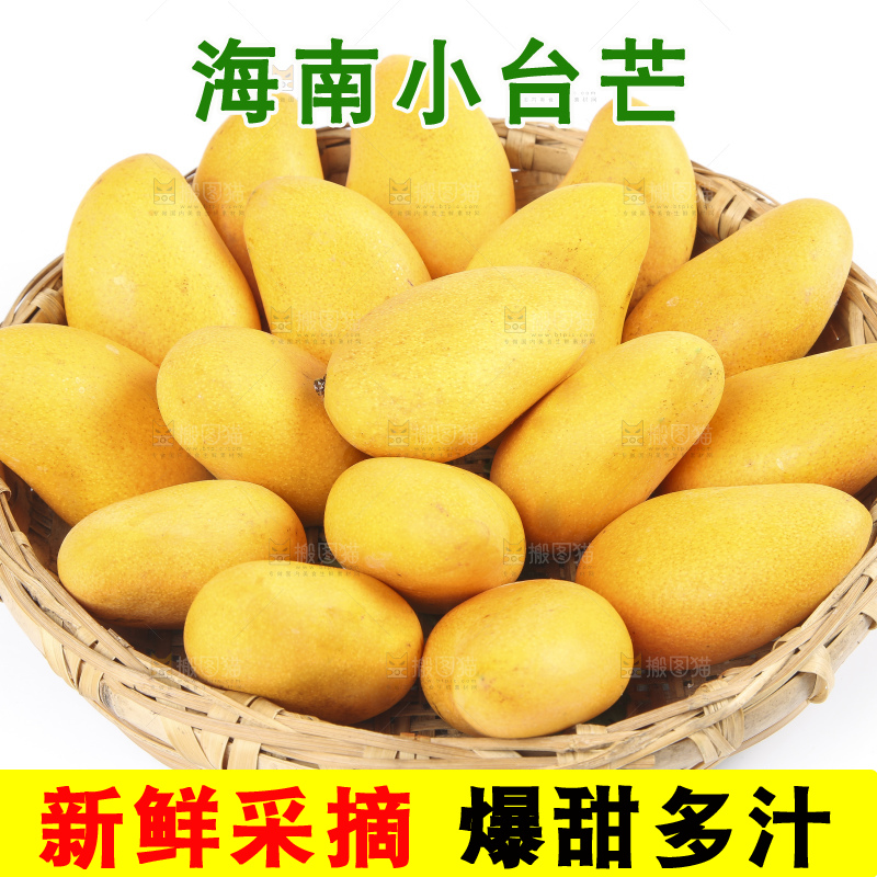 白底上放着一筐新鲜小台芒