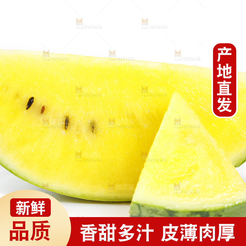 切开的特小凤黄肉西瓜放在白底上