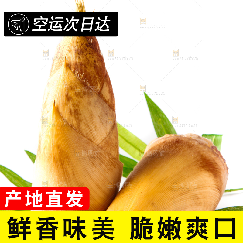 白底上摆放着冬笋