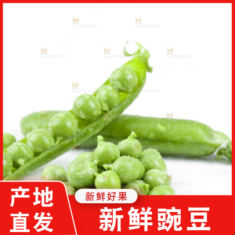 白底上放着豌豆荚