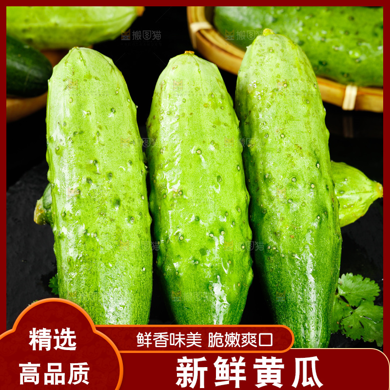 黑底上放着青瓜