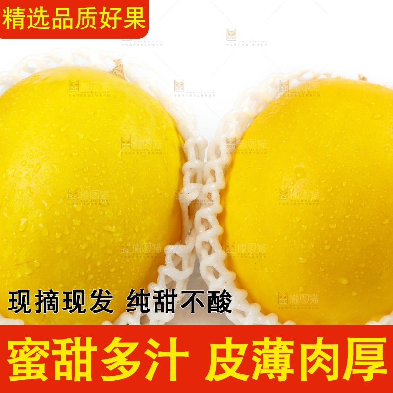 白底上放着新鲜黄河蜜瓜