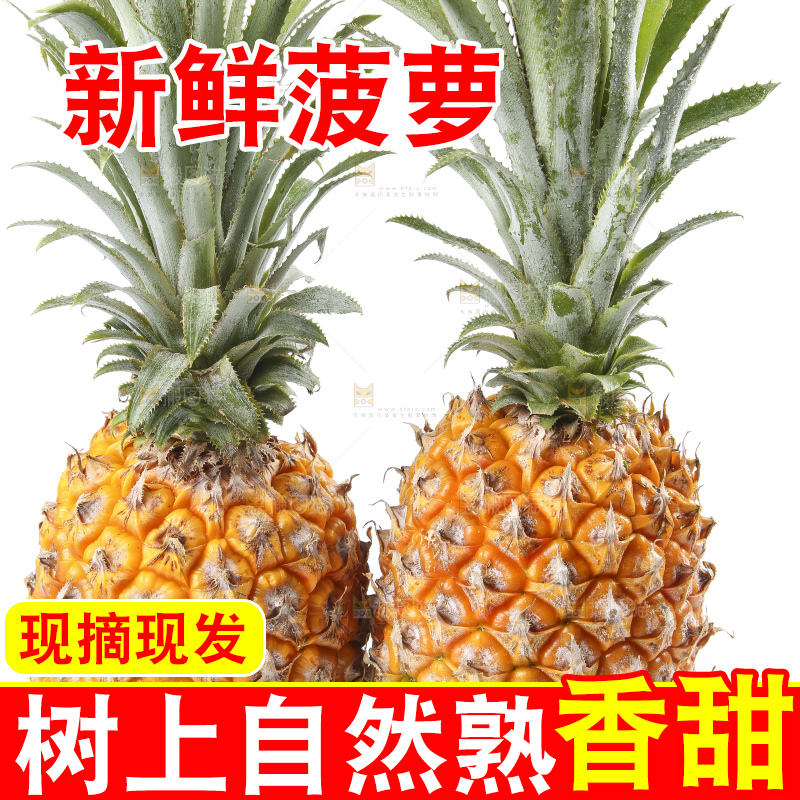 白底上的新鲜菠萝