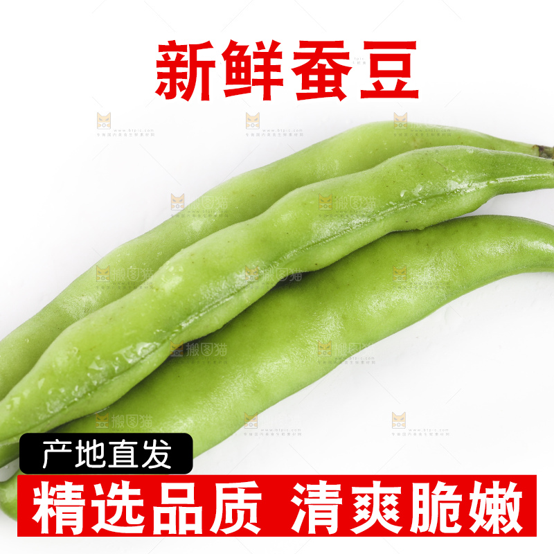 白底上放着新鲜蚕豆