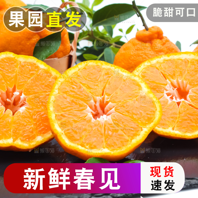 黑石板上放着切开的四川春见柑桔