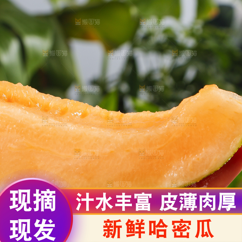 手拿切开的哈密瓜