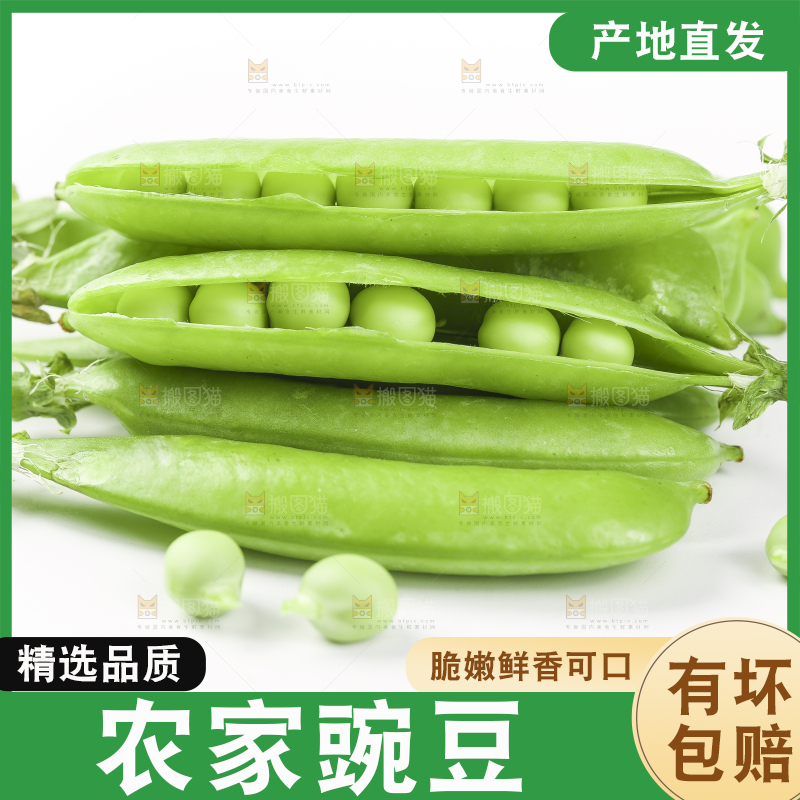 白底上放着一堆豌豆荚