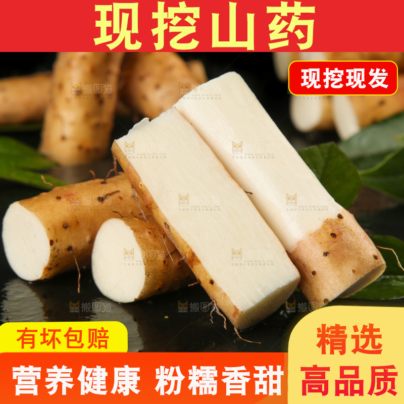 深底上的小白嘴山药