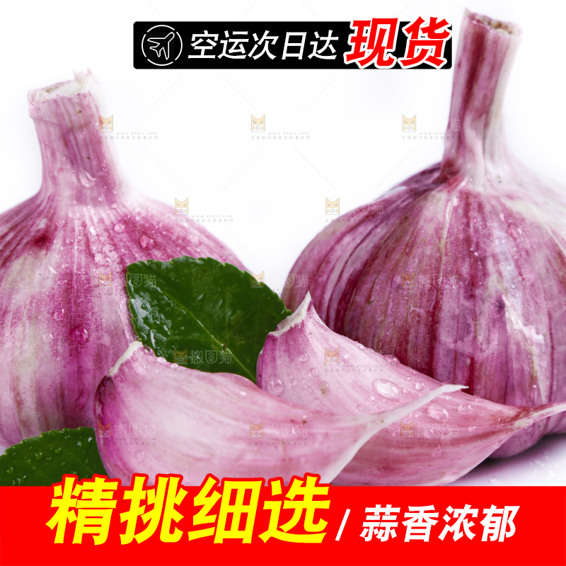 白底上放着新鲜的云南紫皮大蒜