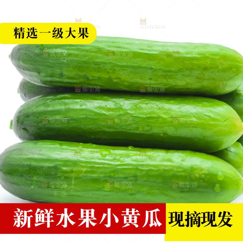 白底上放着荷兰水果小黄瓜
