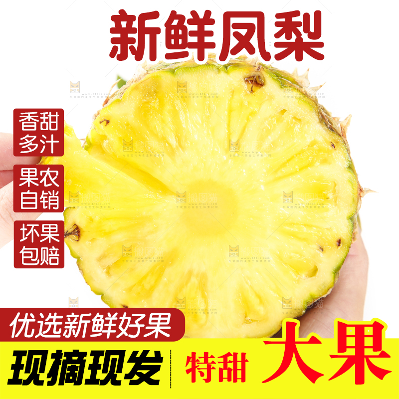 手里拿着海南金钻凤梨