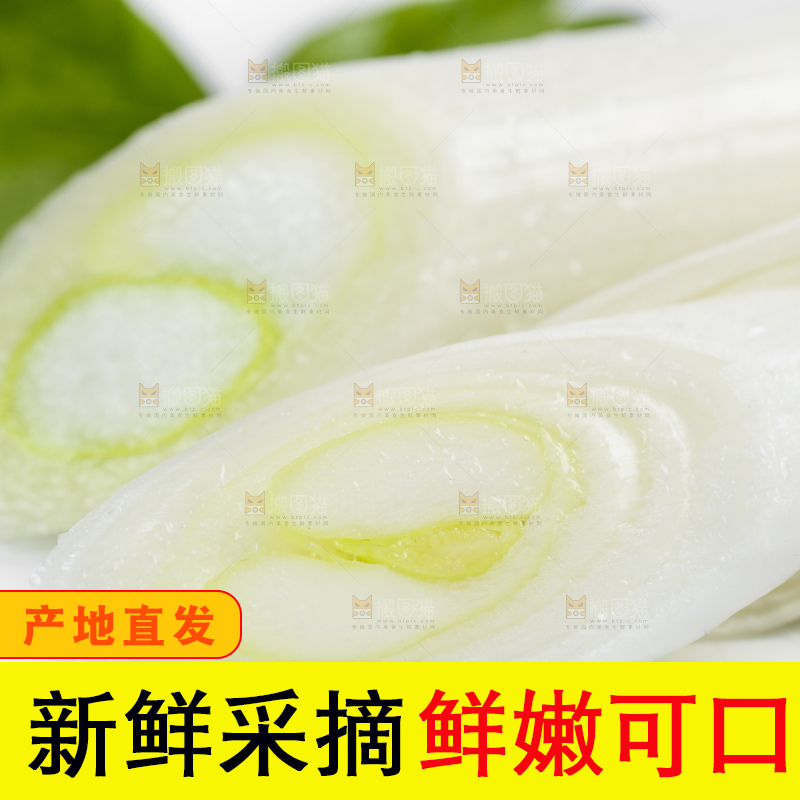 白底上的新鲜大葱