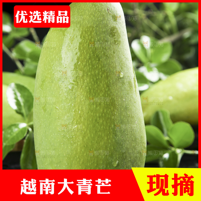 黑底上放着越南大青芒