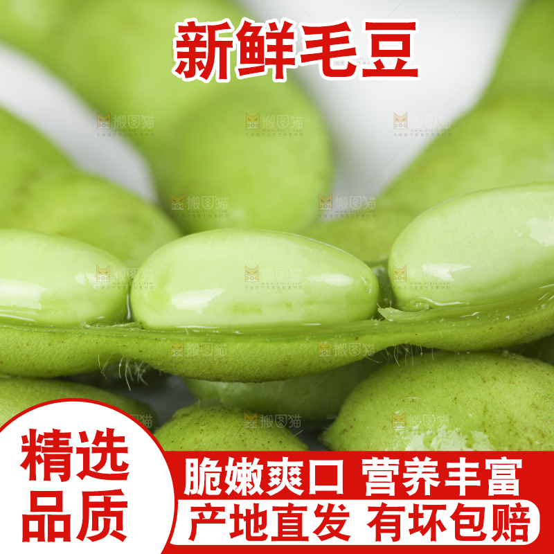 白底上放着四川新鲜毛豆