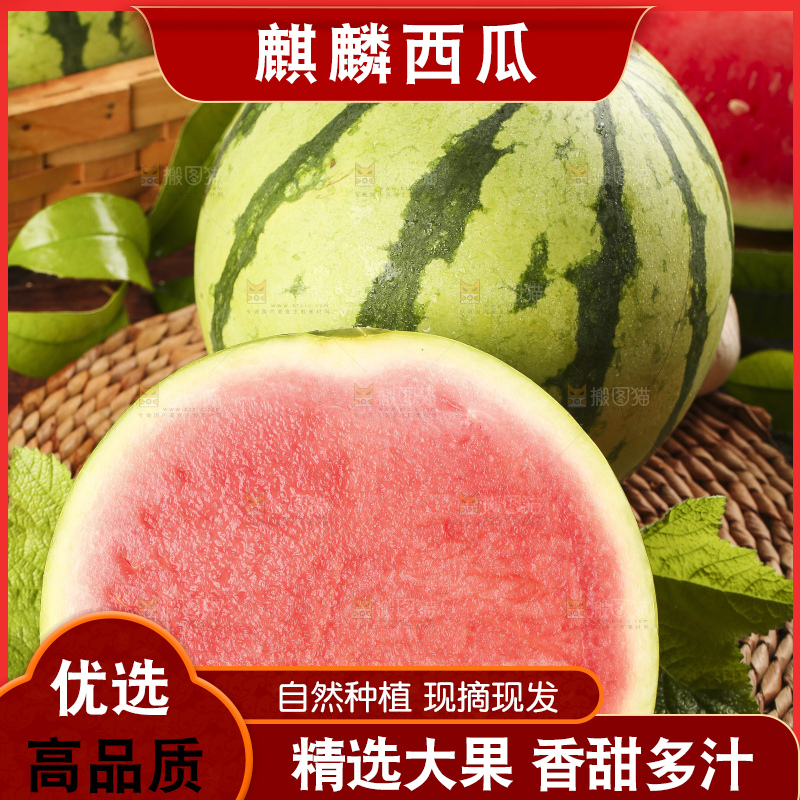 木底上放着新鲜冰糖西瓜