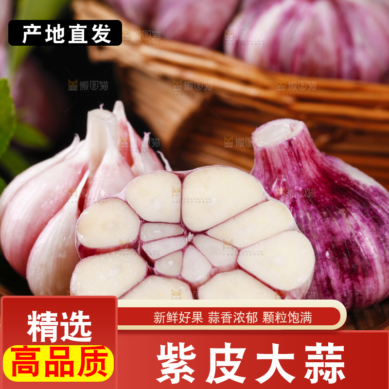石板上放着云南新鲜紫皮大蒜