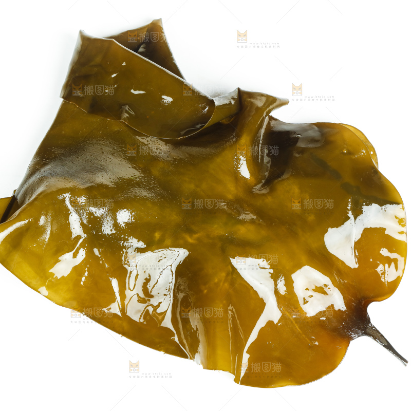 白底上放着海带