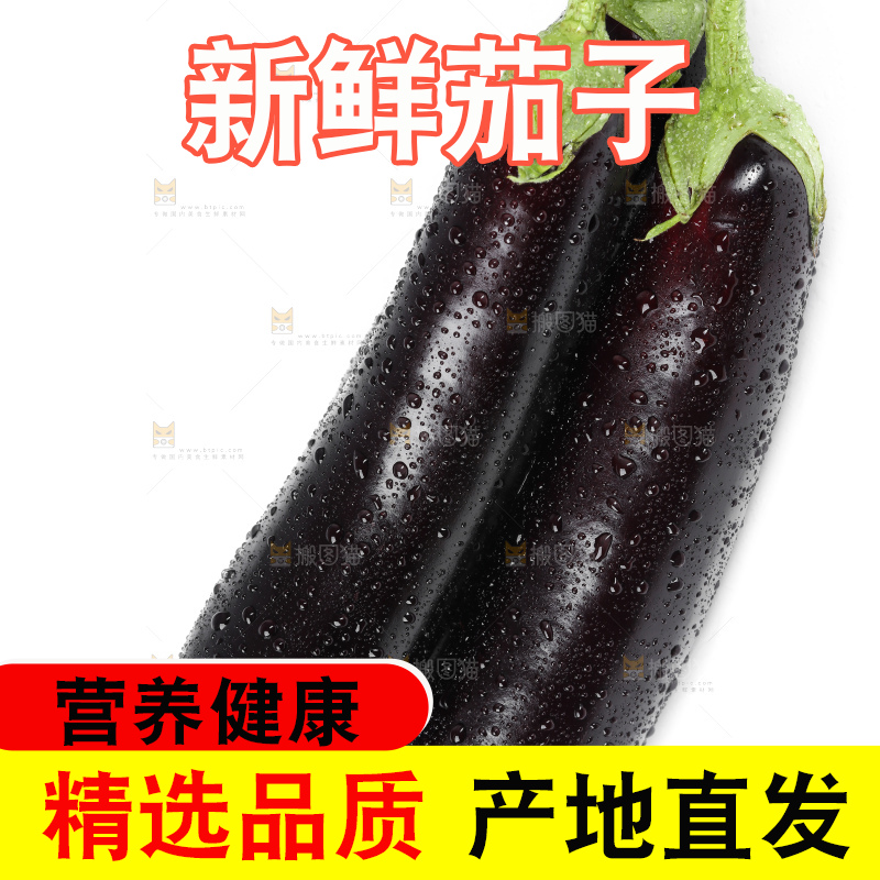白底上的紫茄子