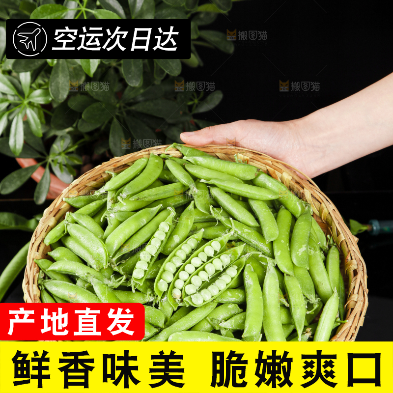 手上端着一篮新鲜的豌豆荚