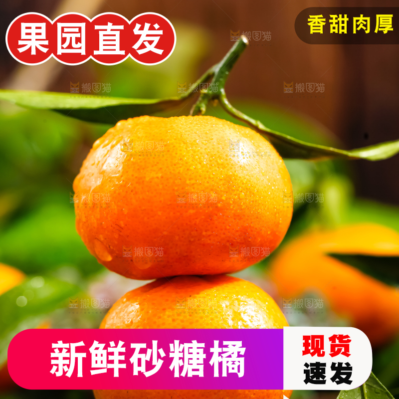 木底上放着新鲜的沙糖桔