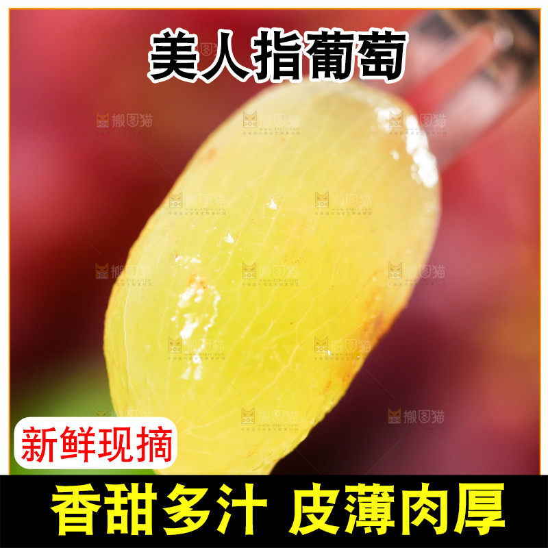 叉子插着美人指葡萄的果肉