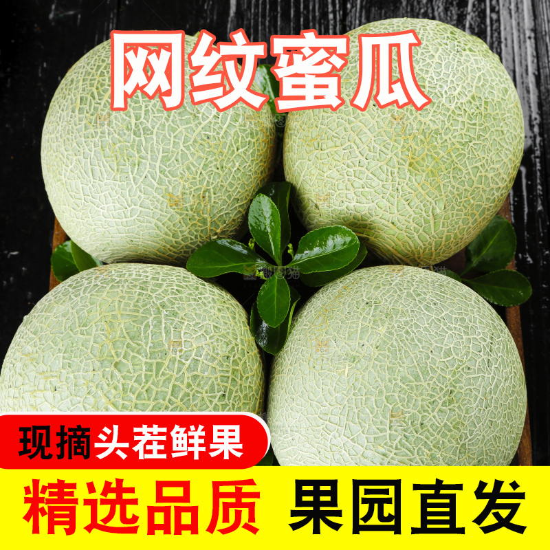 黑底上放着一盘玫珑蜜瓜