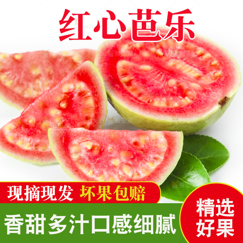 白底上摆放着广西红心芭乐