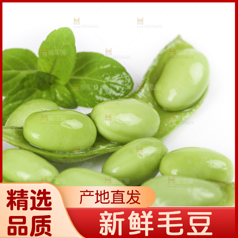 白底上放着四川新鲜毛豆