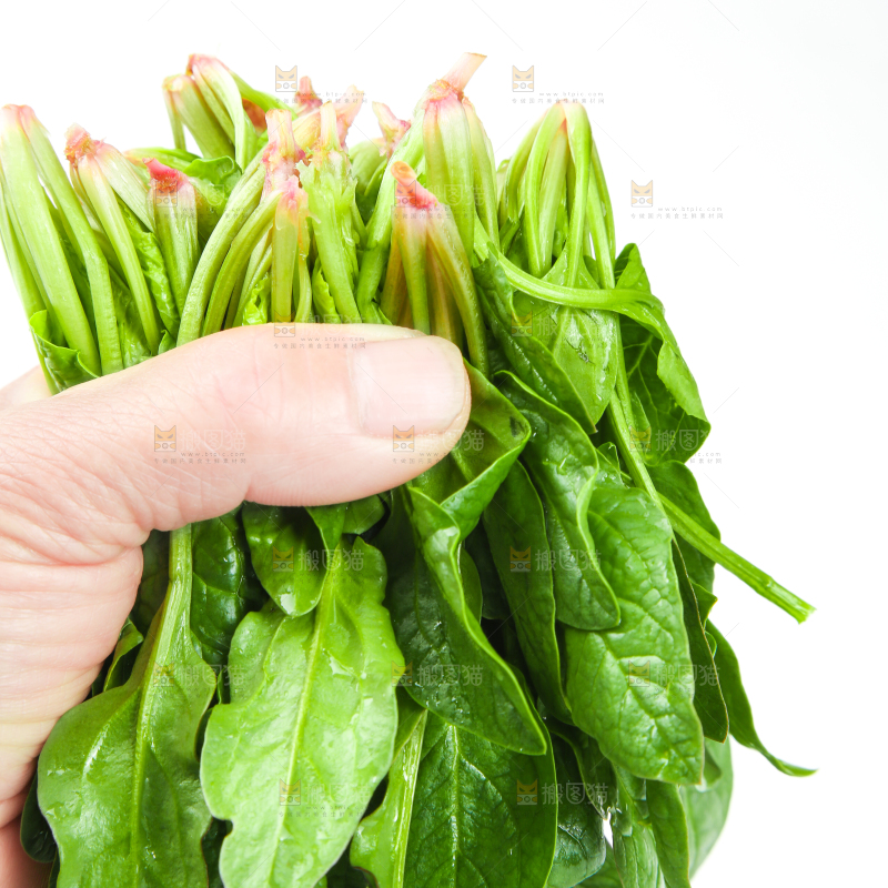 手里拿着一把菠菜