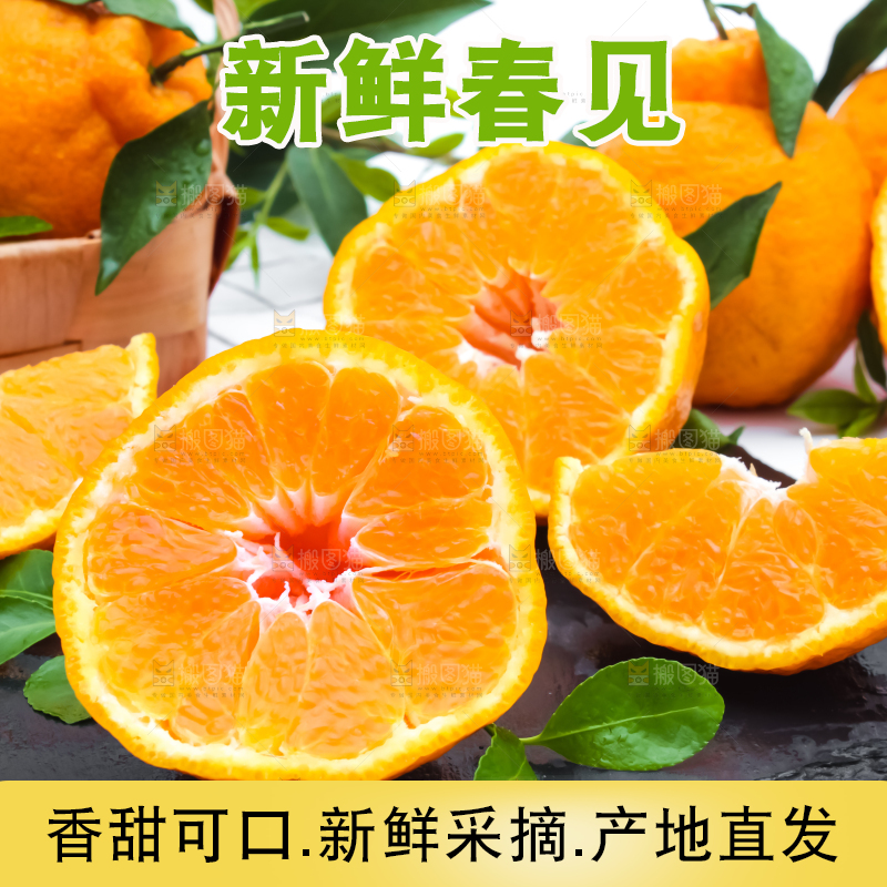 黑石板上放着切开的四川春见柑桔