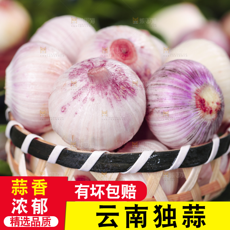 黑底上放着云南紫皮独头蒜