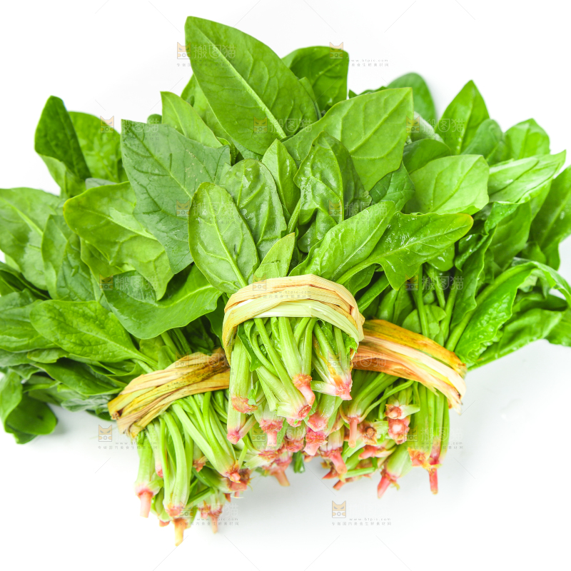 白底上放着新鲜菠菜