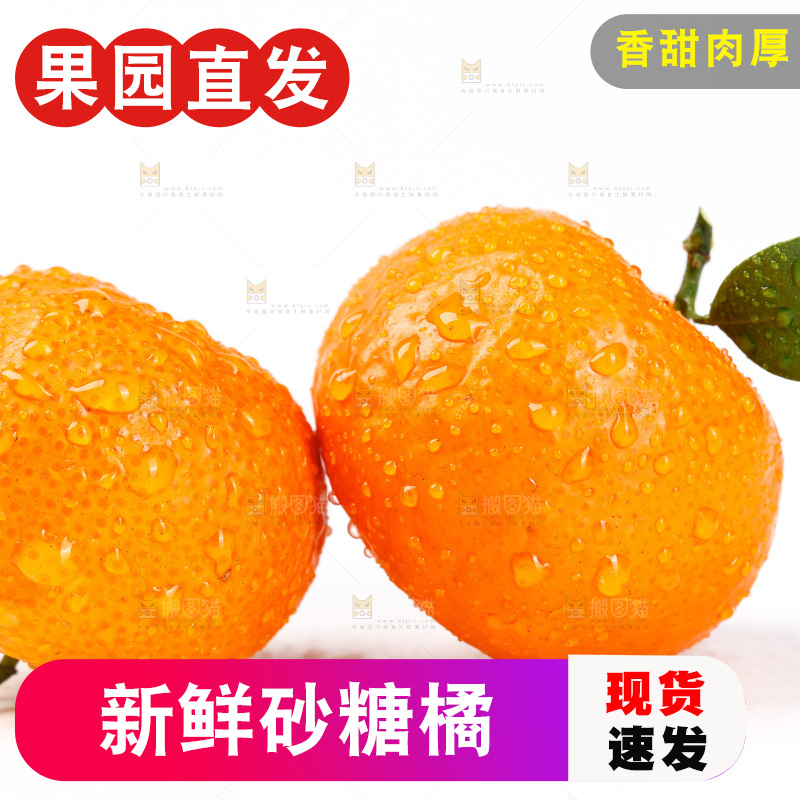 白底上放着砂糖橘