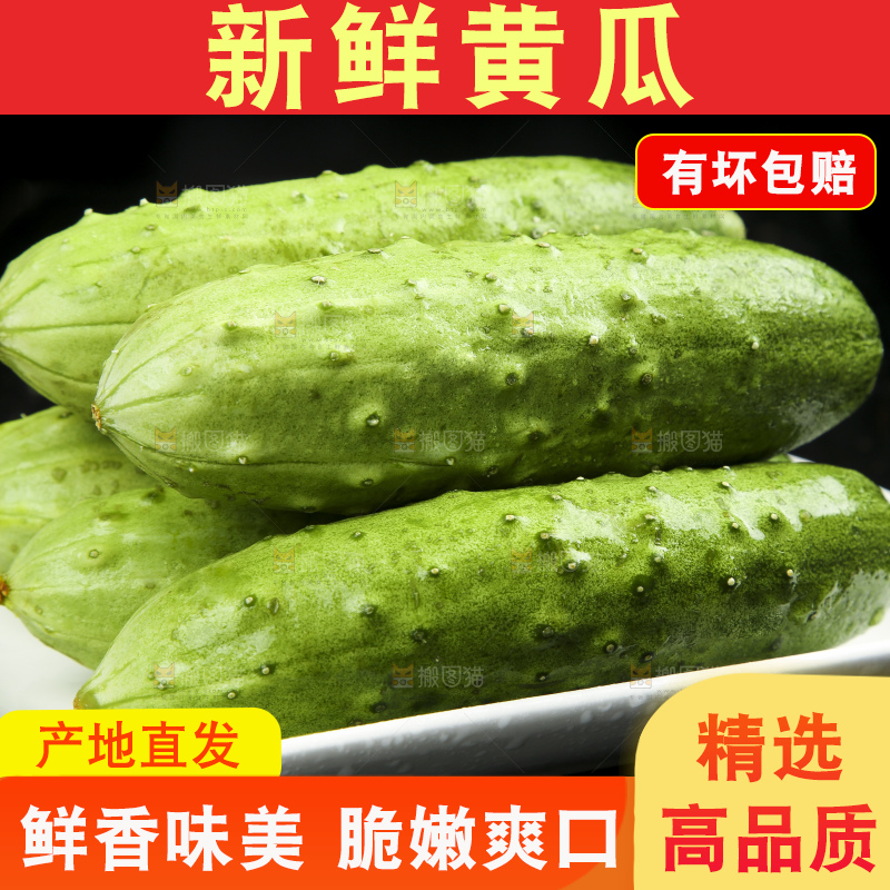 深底上放着一盘新鲜黄瓜
