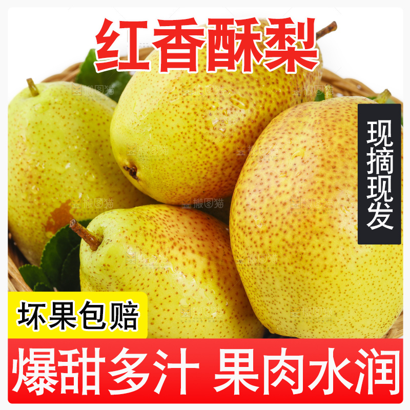 一筐陕西红香酥梨放在白底上
