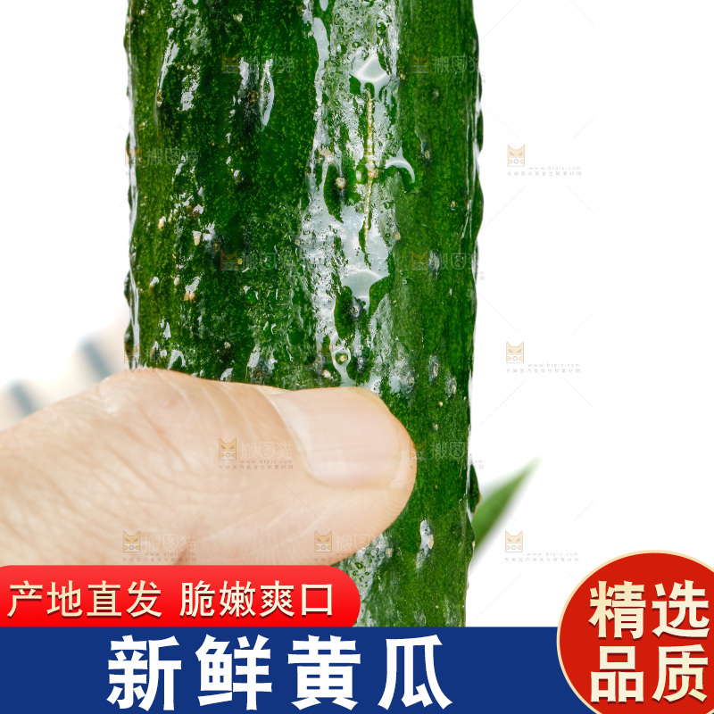 白底上放着黄瓜