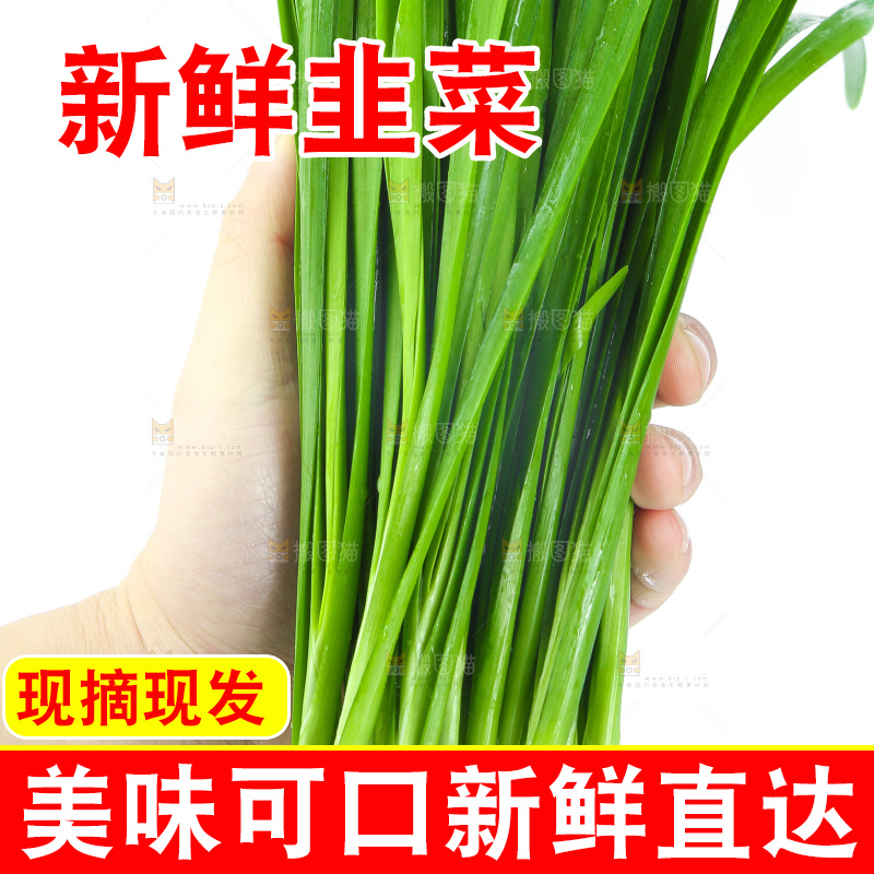 手里拿着一把韭菜