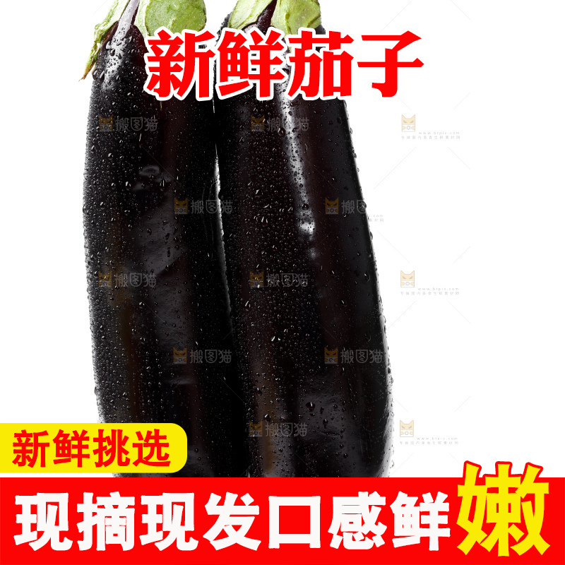 白底上的紫茄子