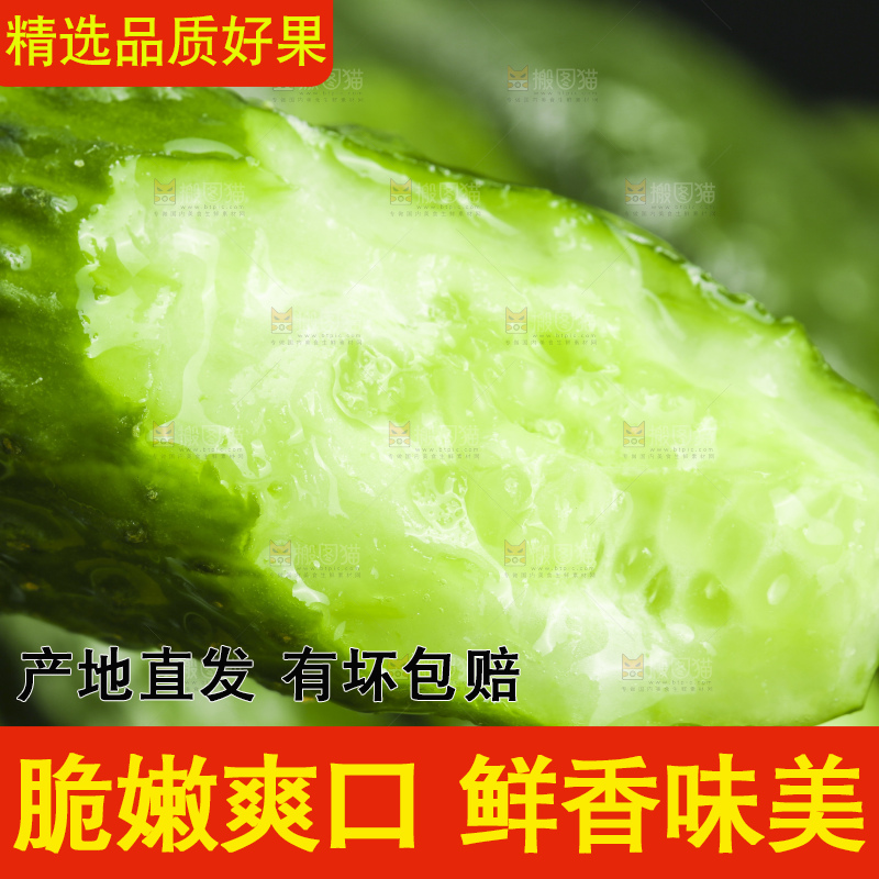 深底上放着切开的新鲜青黄瓜